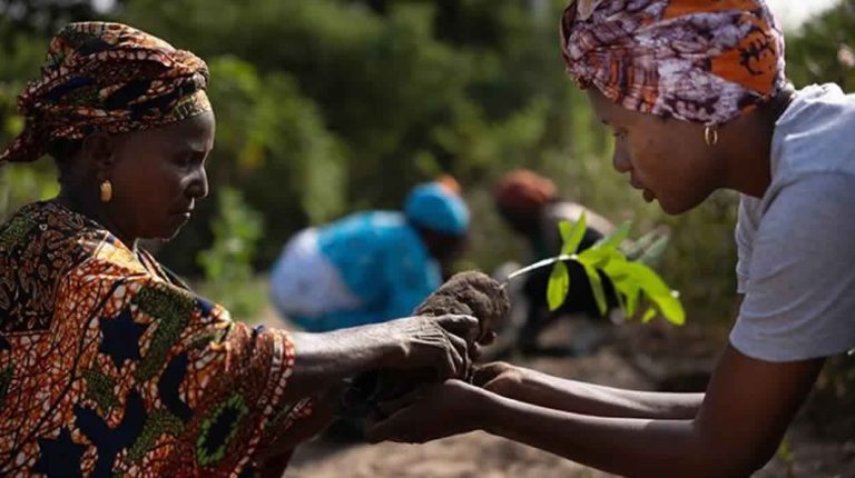 Journée Mondiale de l’Environnement 2024:la restauration des terres, la désertification et la résilience à la sécheresse